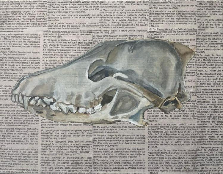 GraeberNa-Coyote-Skull-241005162508_1